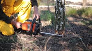 Best Commercial Tree Services  in Conning Towers Nautilus Park, CT
